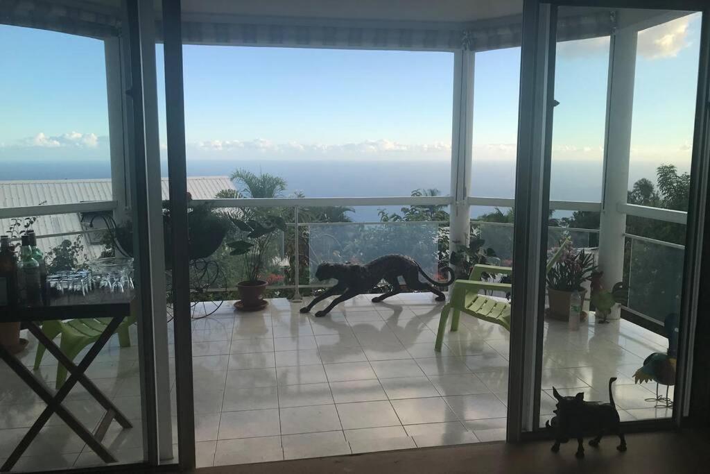 St Leu -Villa D'Artiste, Superbe Vue Mer, Piscine Chauffee Saint-Leu Ngoại thất bức ảnh